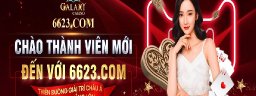 6623comvc