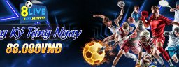 8livenetwork