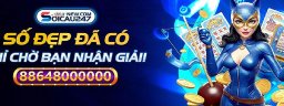 soicau247newcom