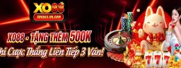 xo8863ukcom