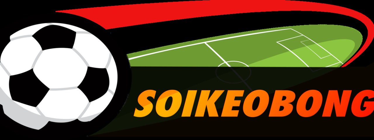 soikeonhacaivnnet