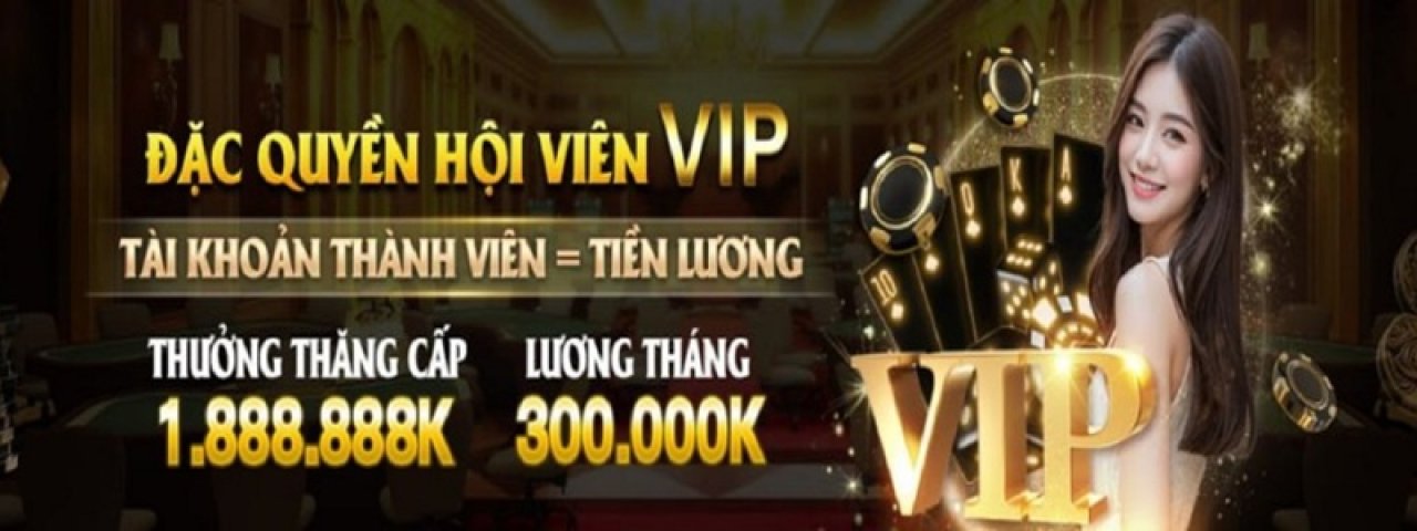 23WINtopnet