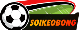 soikeonhacai86org