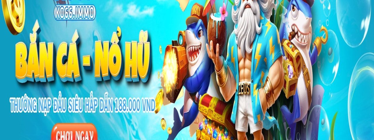 ko66immo