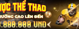xin88football