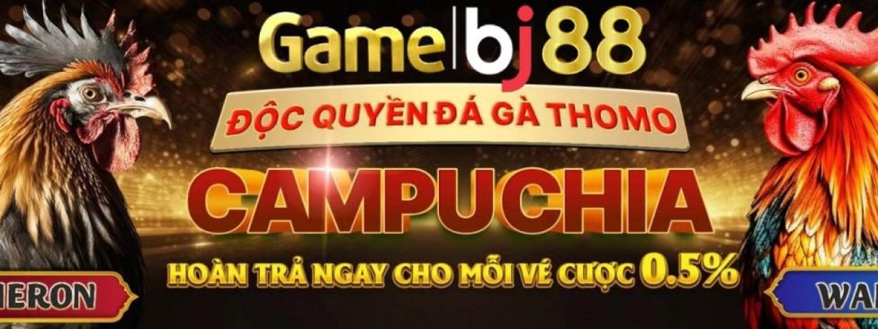 bj38zone