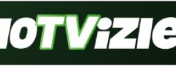 ontvizlecom