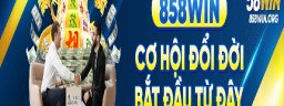 858winorgnha