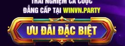 winvnparty