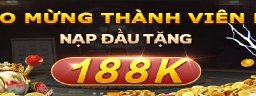 23WINfoo