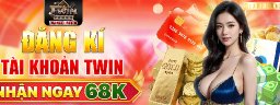 TWIN68limited