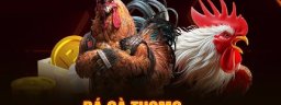 dagathomotructiep