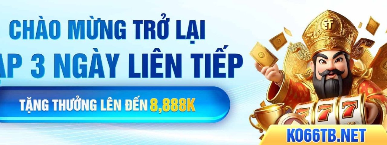 ko66tbnet