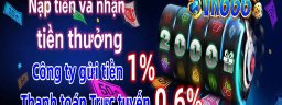 vn666dev