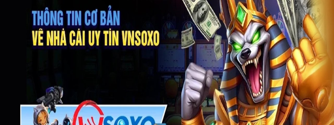 vnsoxotech