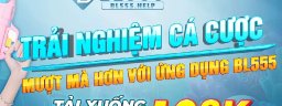 bl555help
