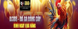 bj388uscom