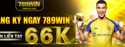 789wintdev