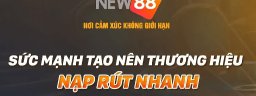 NEW88wvip