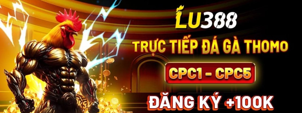lu388top