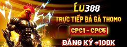 lu388top