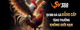 sv388date