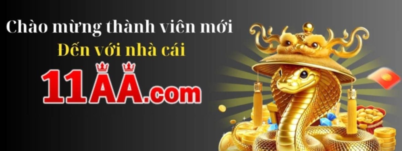 11aagamecom