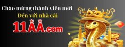 11aagamecom