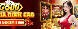 taigo88
