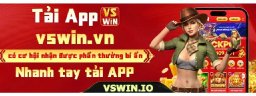 vswinio