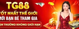 tg88ame