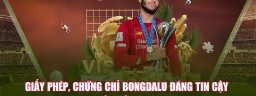 bongdaluicu