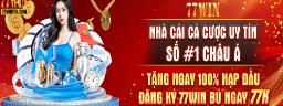 77wintercom