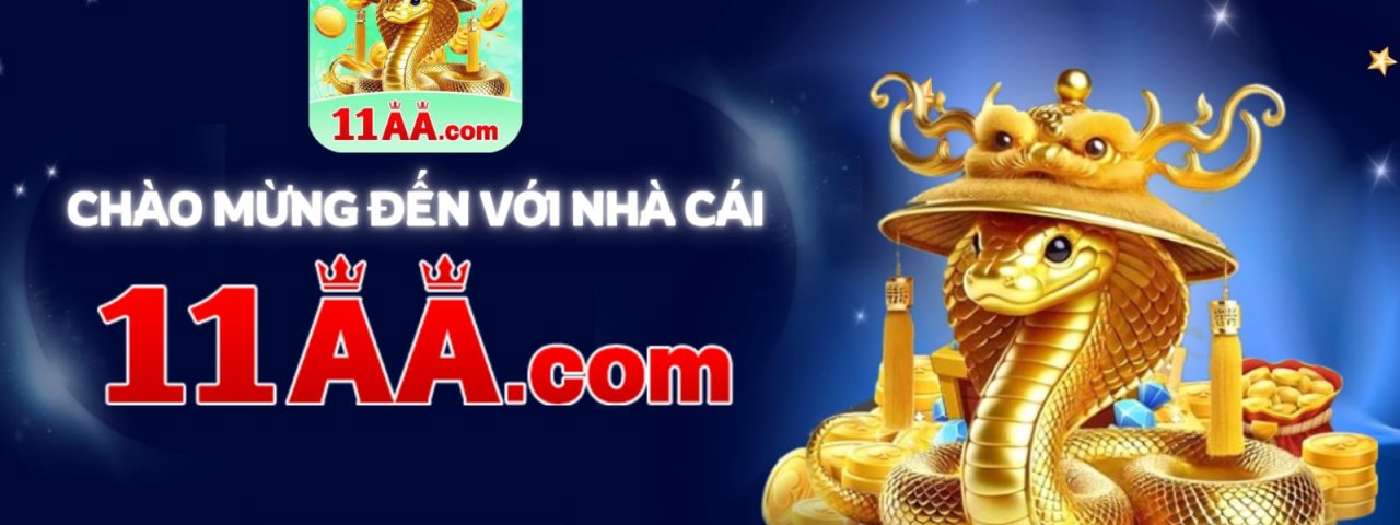 11aavipcom