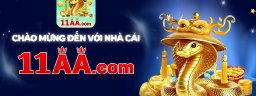 11aavipcom