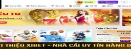 xibetdev