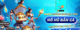 13windomains