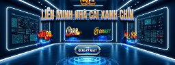 100vipwebsite
