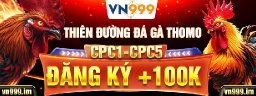 vn999im