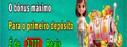27bviporg