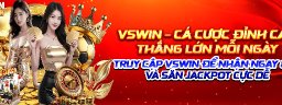 vswinzcom