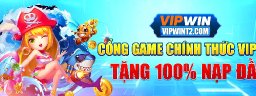 vipwint2com