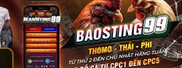 baosting99com