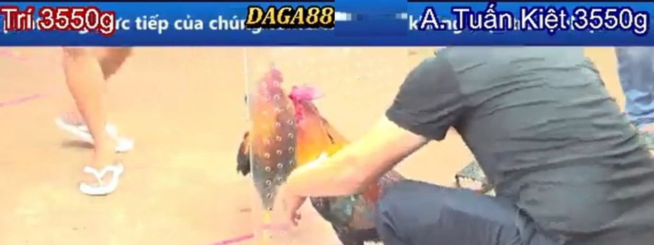 daga88tmcom