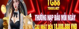 tg885net