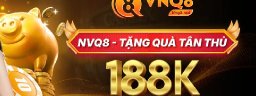 vnq8red