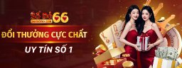 sodo66excom