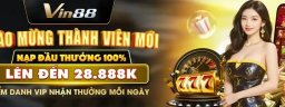 vin88aukcom
