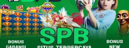 spbim