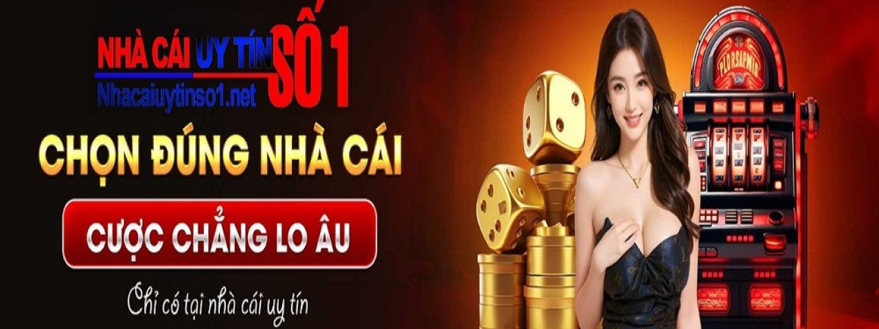 nhacaiuytinso1n